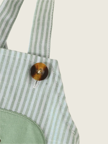 Dino Days Dungaree Set