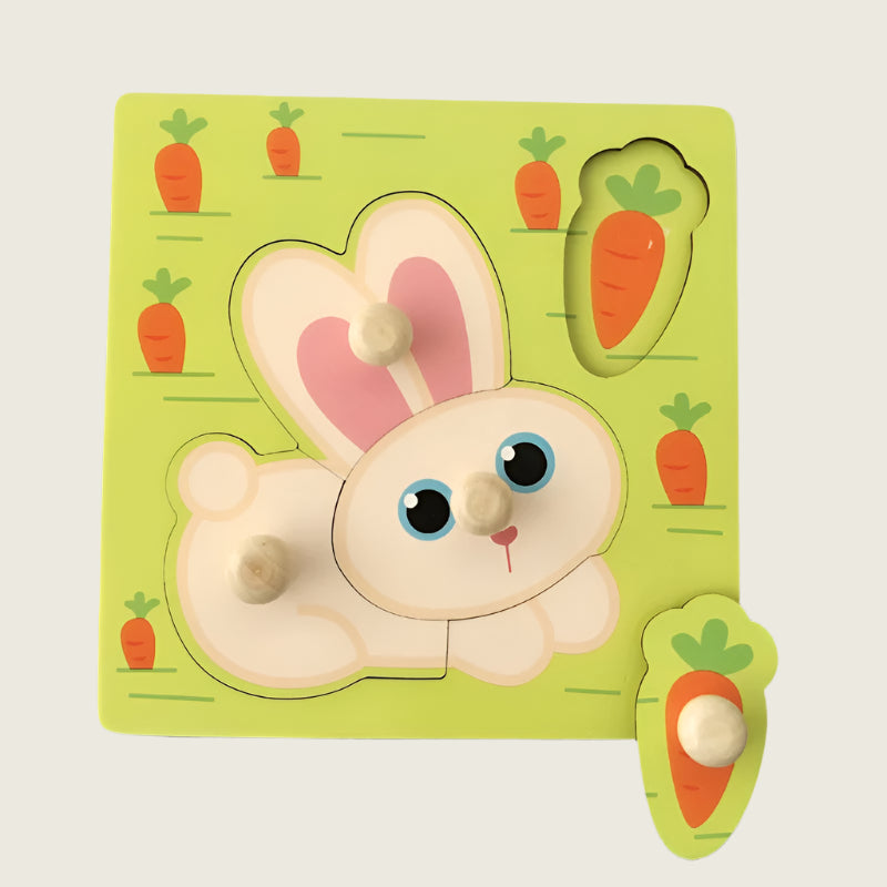 Toddler Discovery Puzzle Set