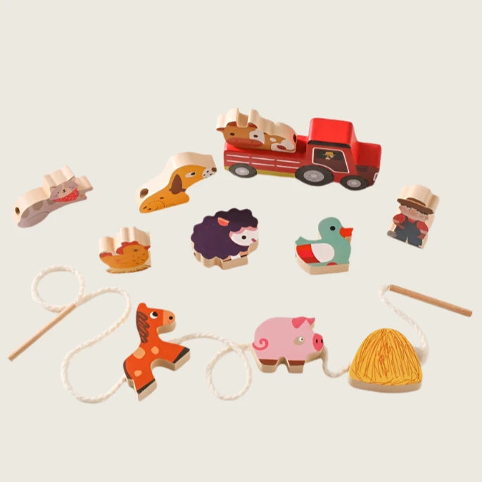 Animal and Shape Threading Sets