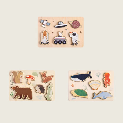 Theme 3D Wooden Puzzles