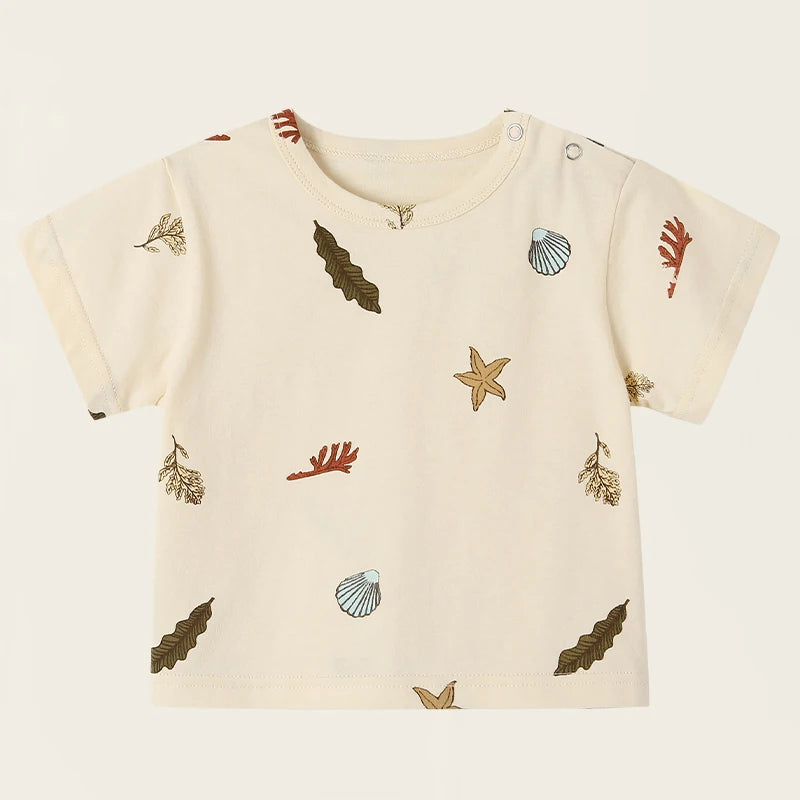 45602361770241|45602361901313|45602361966849|45602362032385